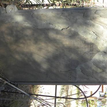 WEARN ? :: WEARN ? Dermer -1881