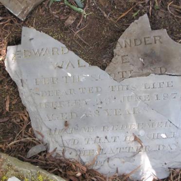 WALLACE Edward Alexander -1875