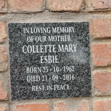 ESBIE Collette Mary 1962-2016