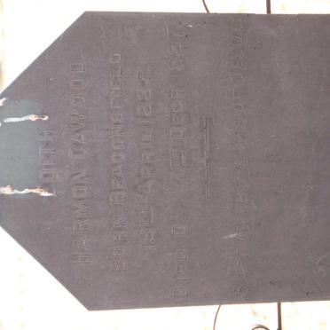 C - Surnames :: Vanne - C