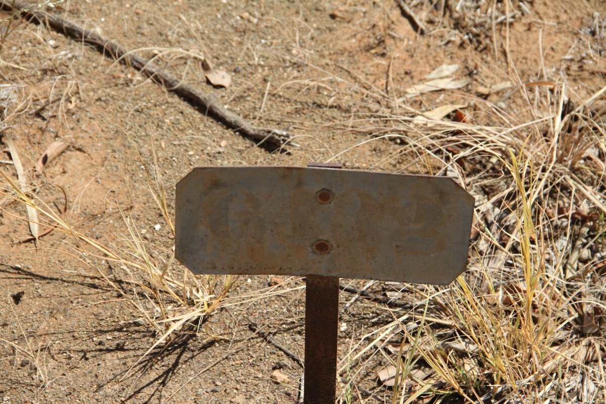 DELSEUGER Catherine Silva -1921