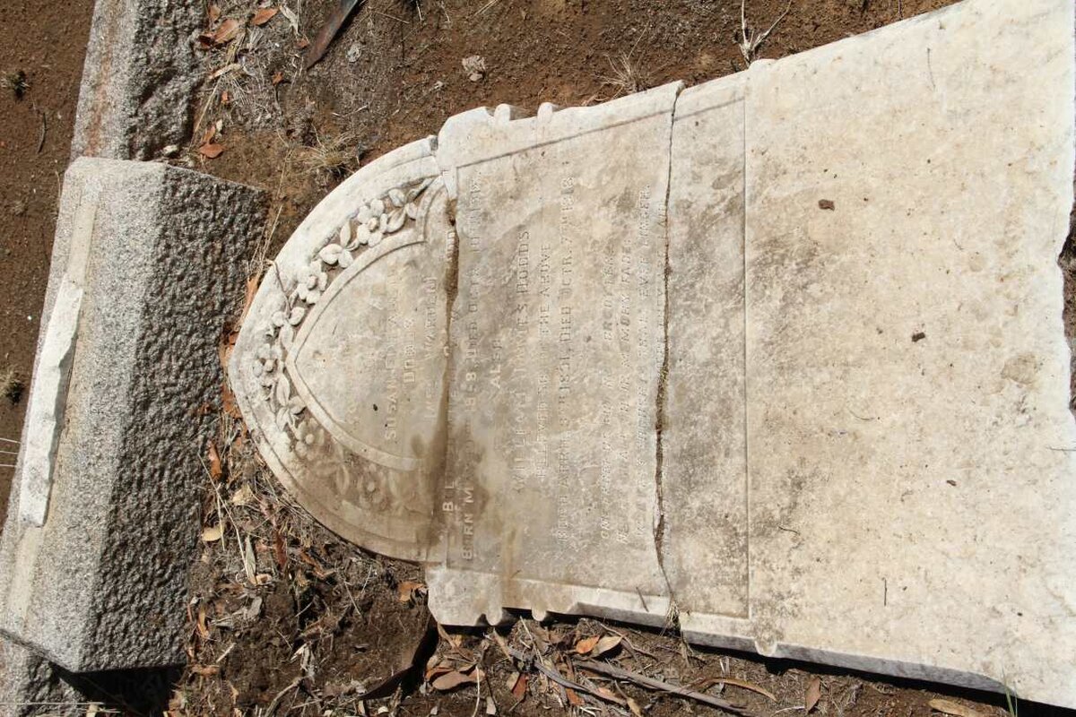 DODDS Susan Elizabeth nee WARDEN 1868-1918 :: DODDS William James 1891-1918