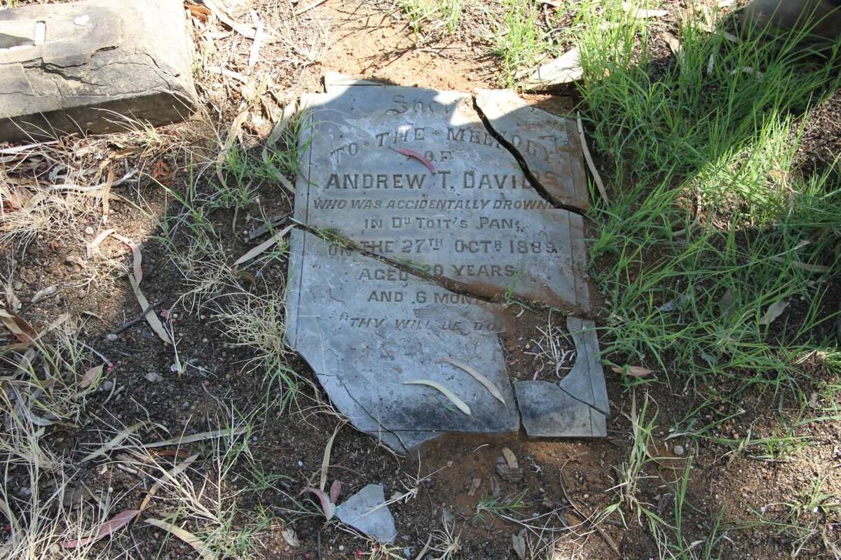 DAVIDS Andrew T.  -1889