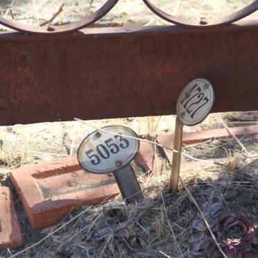 K - Surnames :: Vanne - K