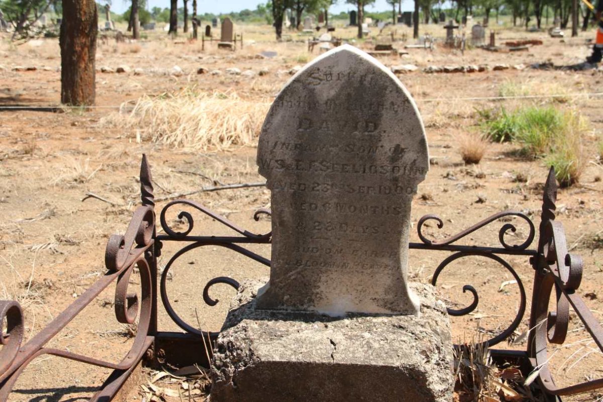 SEELINGSOHN David  -1900