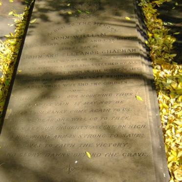 CHAPMAN John William -1878