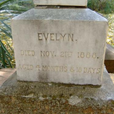 ? Evelyn -1888