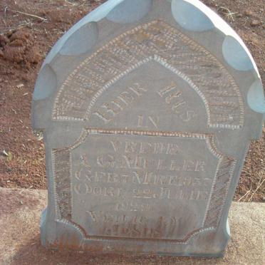 MULLER A.G. 1857-1929