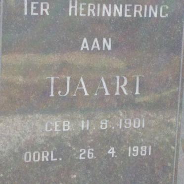 COETSEE Tjaart 1901-1981