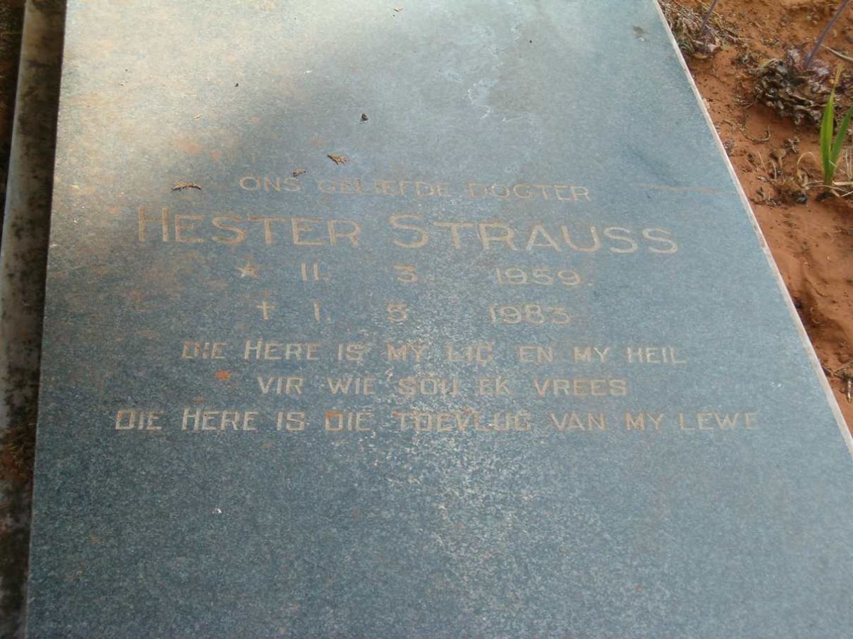 STRAUSS Hester 1959-1983