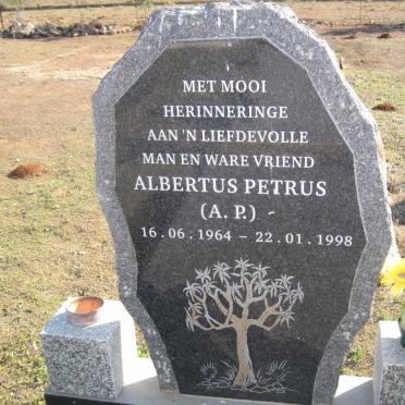 ? Albertus Petrus 1964-1998