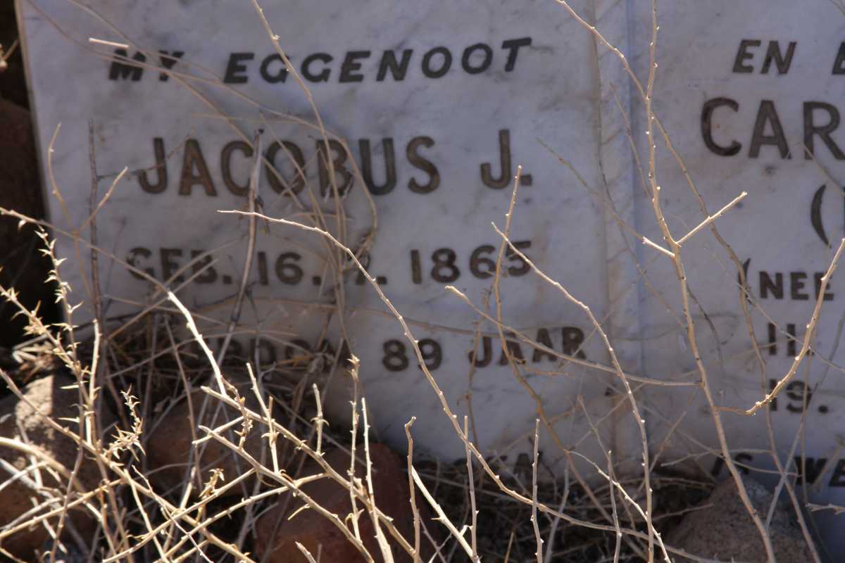 ? Jacobus J. -1865 &amp; Carolina E. NIEHAUS 1886-1964