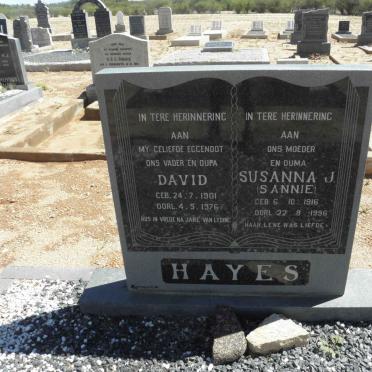 HAYES David 1901-1976 &amp; Susanna J. 1916-1996