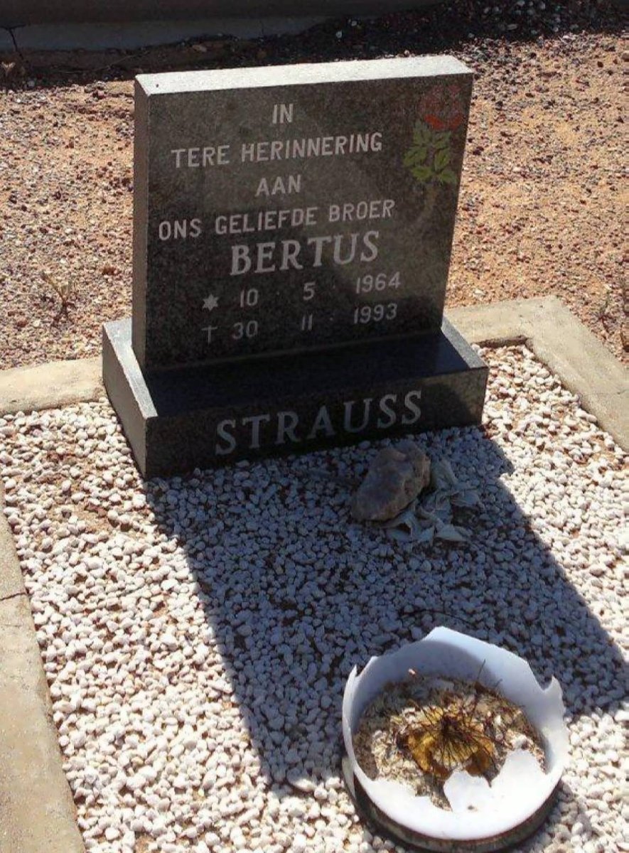 STRAUSS Bertus 1964-1993