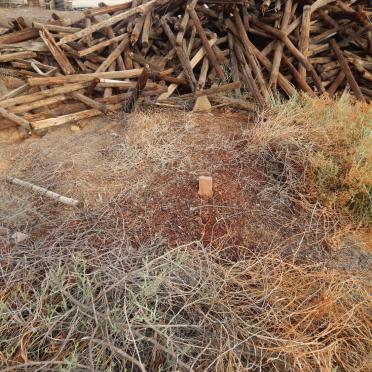 Northern Cape, MARCHAND, Old cemetery next to the canal