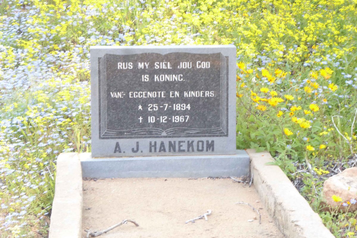 HANEKOM A.J. 1894-1967