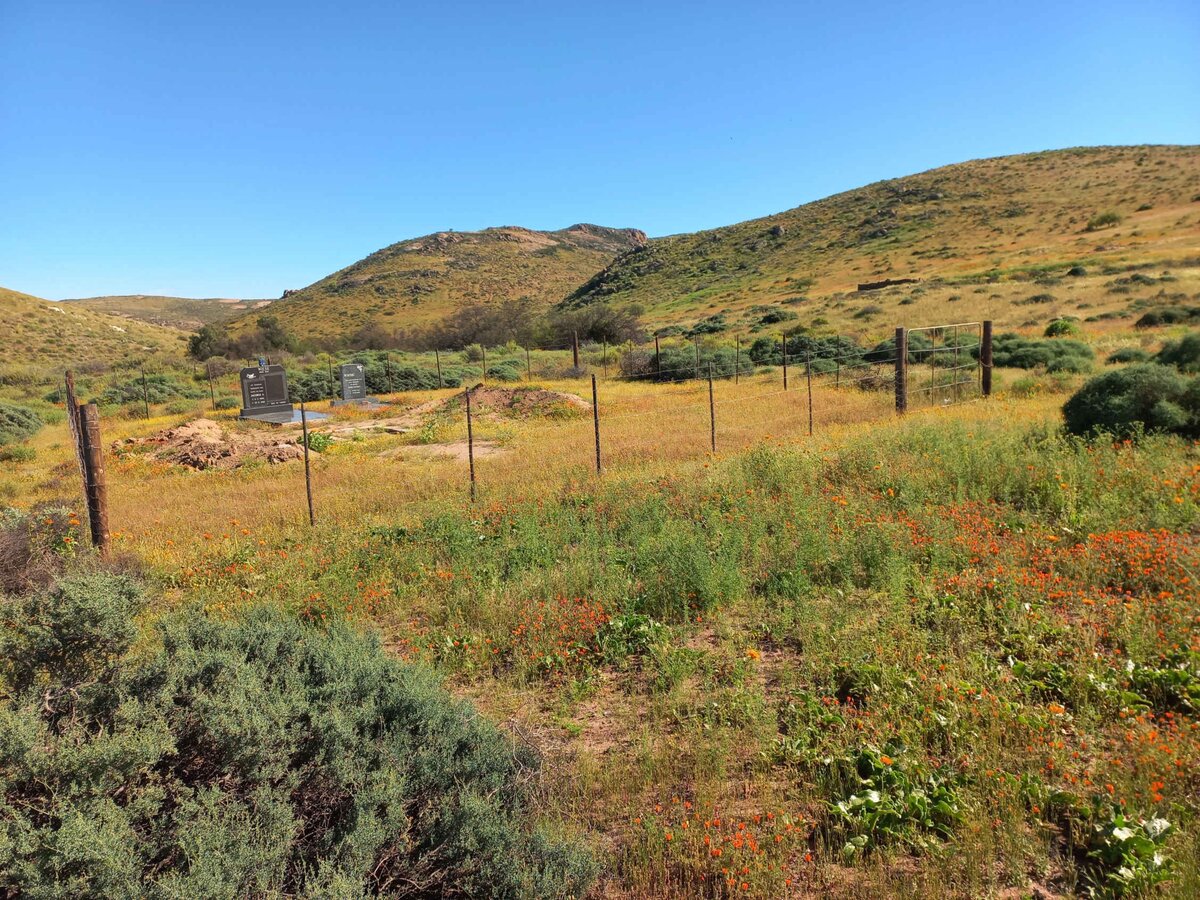 1. Oorsig / Overview