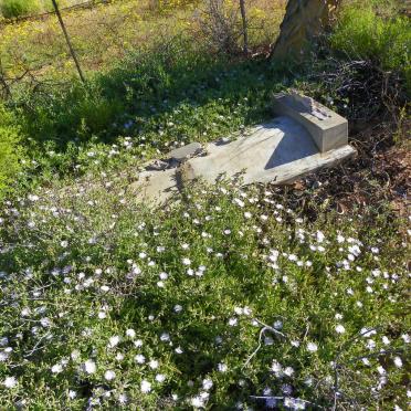 Northern Cape, NAMAQUALAND district, Kamieskroon, Arakoop 457, Noebeep-Wes, Verbe Guest farm, farm cemetery