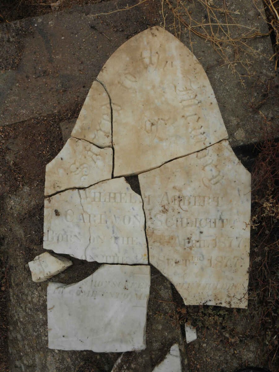 SCHLICHT Wilhelm Albert Carl, von 1877-1877