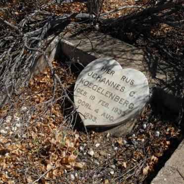 Northern Cape, NAMAQUALAND district, Kamieskroon, Riet Kloof 446, farm cemetery_1