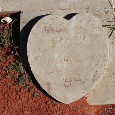 STEYN  S. M. 1923-192?