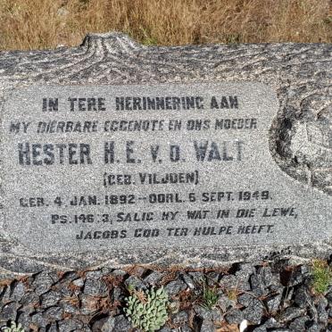 WALT Hester H.E., van der nee VILJOEN 1892-1949