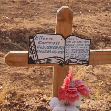 CARROLL Eileen 1958-2009