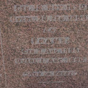 SCHOLTZ Frans 1895-1896