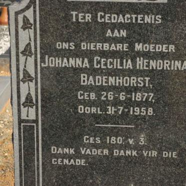 BADENHORST Johanna Cecilia Hendrina 1877-1958