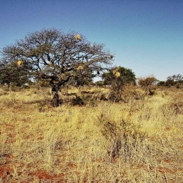 2. Overview / Oorsig