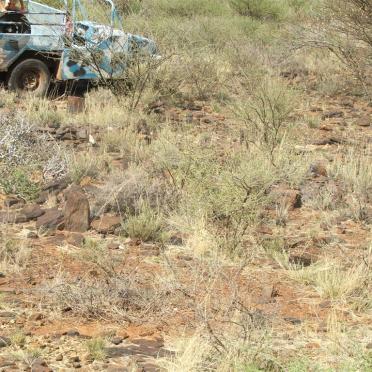 1. Overview on gravesite 