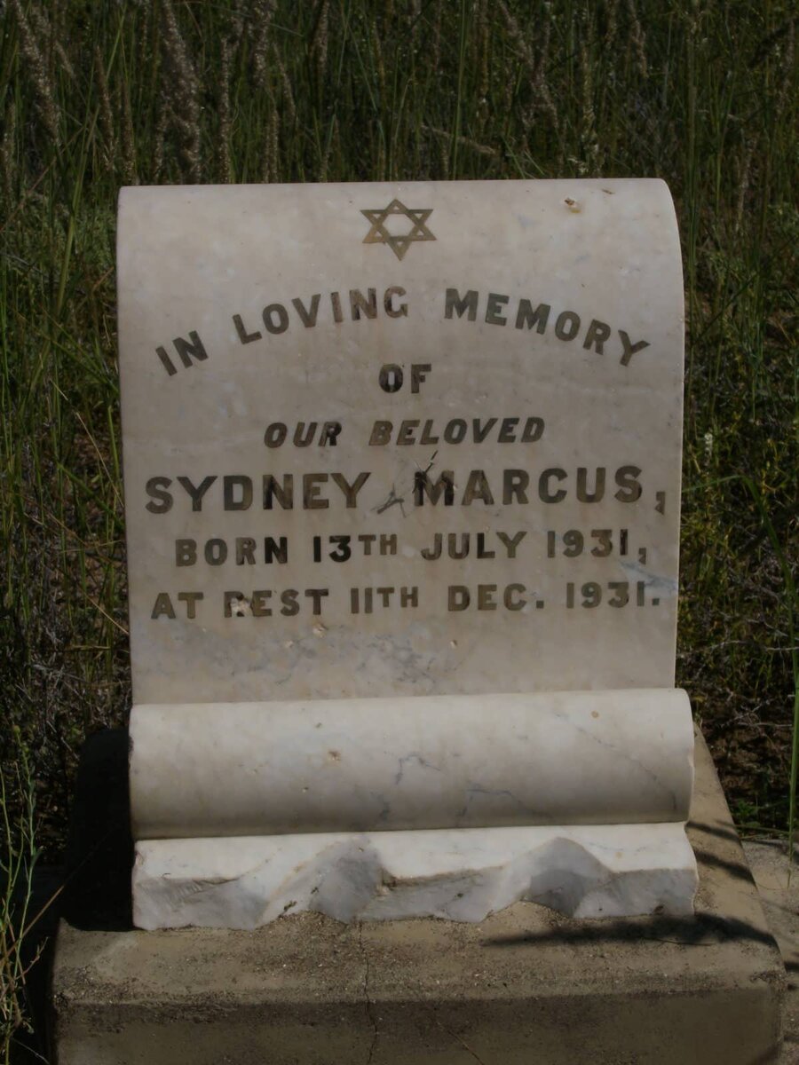 MARCUS Sydney 1931-1931