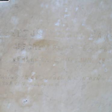 HANEKOM Albertus Petrus 1863-1906