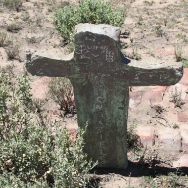 DANIELS Sheldon 1984-1987