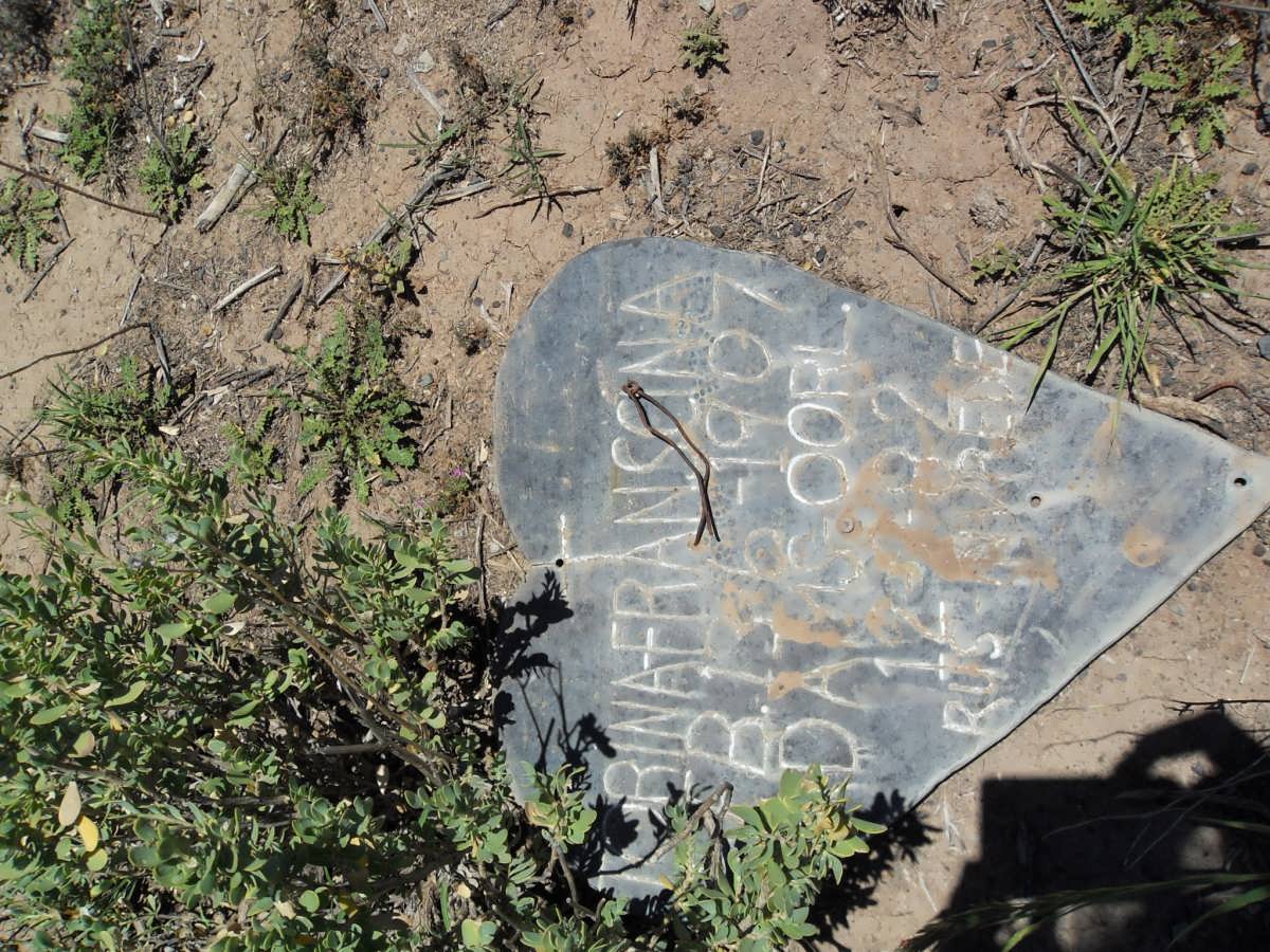 ? Jorina Franscina 1907-1982