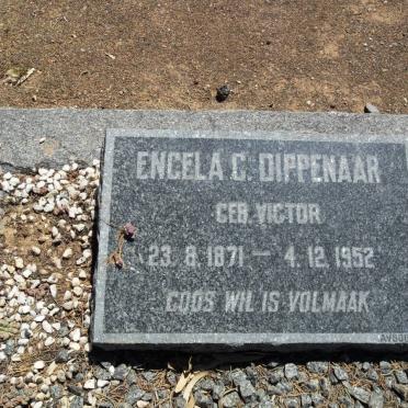 DIPPENAAR Engela C. nee VICTOR 1871-1952