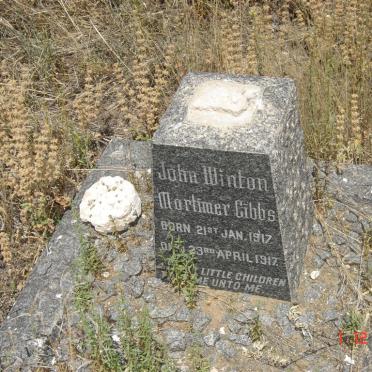 GIBBS John Winton Mortimer 1917-1917