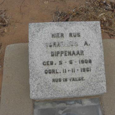 DIPPENAAR Cornelius A. 1908-1961