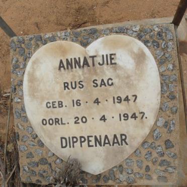 DIPPENAAR Annatjie 1947-1947