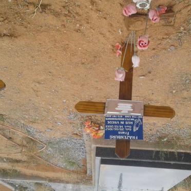 FRAZENBURG Frans 1957-2013