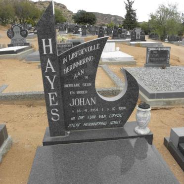 HAYES Johan 1954-1990