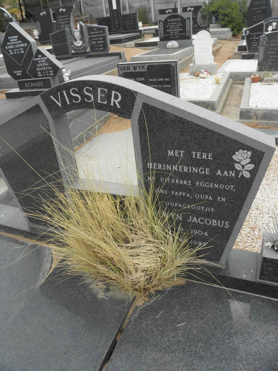 VISSER Alwyn Jacobus 1904-1985
