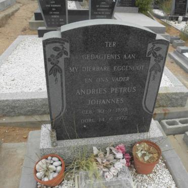 ? Andries Petrus Johannes 1893-1972