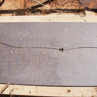 HENWOOD Mary Jane 1869-1869