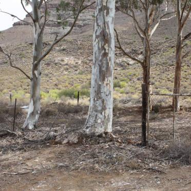 Northern Cape, SUTHERLAND district, Tankwa Karoo National Park, Lange Kloof 60, farm cemetery
