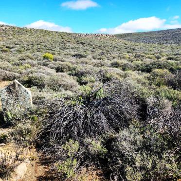 2. Overview / Oorsig