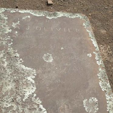 OLIVIER A.J. 1856-1901