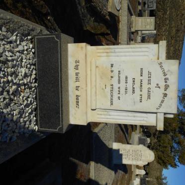 STEGMANN Jessie nee CAINE 1890-1931