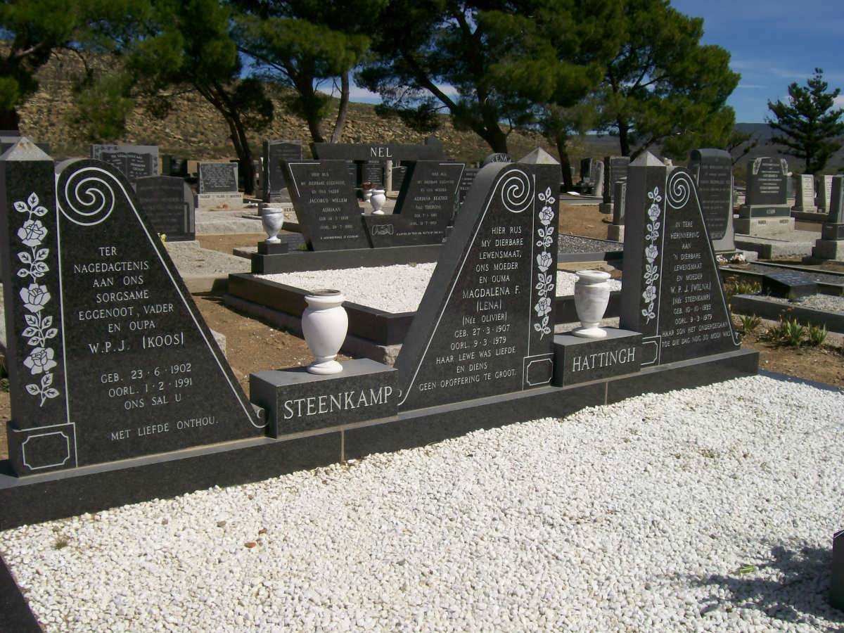 STEENKAMP :: HATTINGH :: OLIVIER