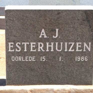 ESTERHUIZEN A.J.  -1986